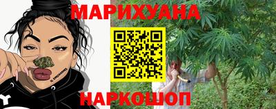 крисы Славянск-на-Кубани