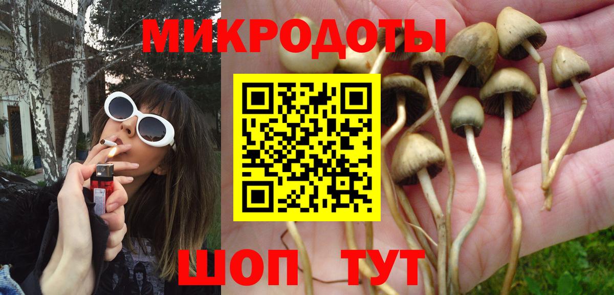 Галлюциногенные грибы прущие грибы Новотроицк