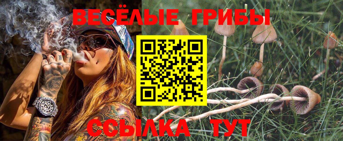 Новотроицк  Псилоцибиновые грибы Psilocybe  Вход с VPN 